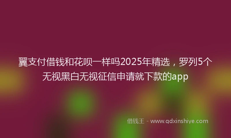 翼支付借钱和花呗一样吗2025年精选，罗列5个无视黑白无视征信申请就下款的app