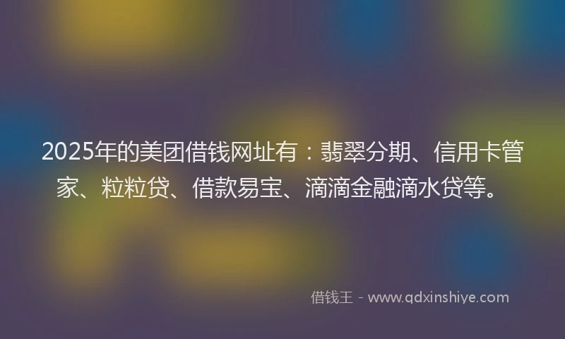 2025年的美团借钱网址有：翡翠分期、信用卡管家、粒粒贷、借款易宝、滴滴金融滴水贷等。