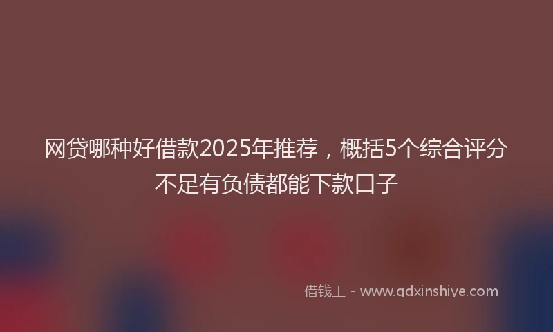 网贷哪种好借款2025年推荐，概括5个综合评分不足有负债都能下款口子
