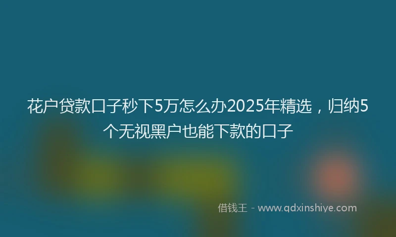 花户贷款口子秒下5万怎么办2025年精选，归纳5个无视黑户也能下款的口子