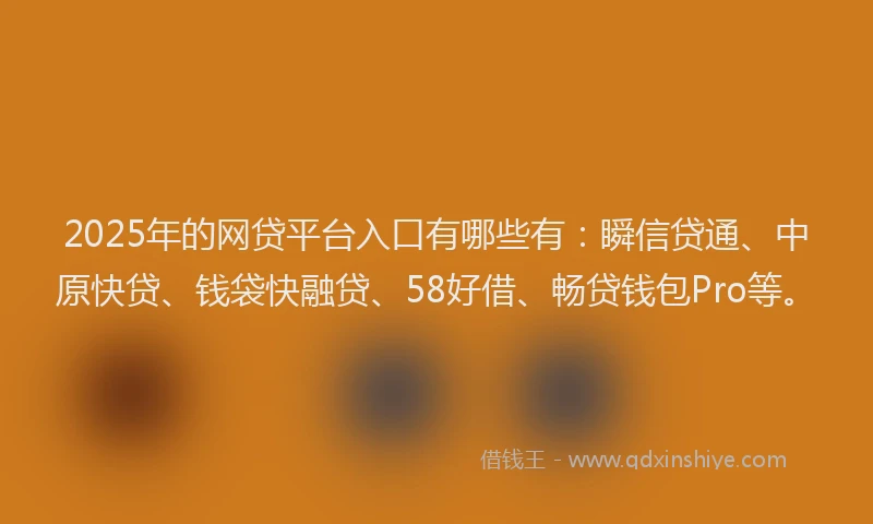 2025年的网贷平台入口有哪些有：瞬信贷通、中原快贷、钱袋快融贷、58好借、畅贷钱包Pro等。
