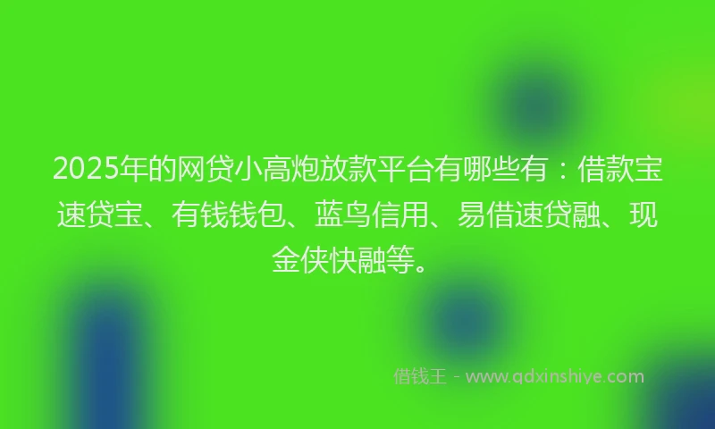 2025年的网贷小高炮放款平台有哪些有：借款宝速贷宝、有钱钱包、蓝鸟信用、易借速贷融、现金侠快融等。