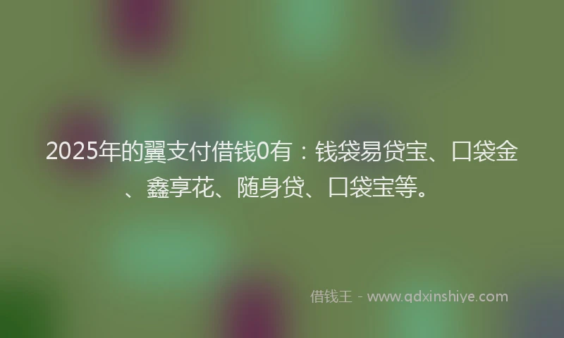 2025年的翼支付借钱0有：钱袋易贷宝、口袋金、鑫享花、随身贷、口袋宝等。