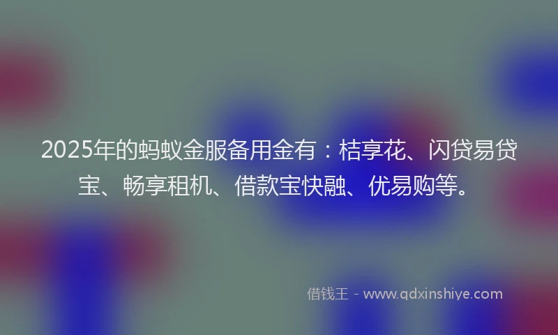 2025年的蚂蚁金服备用金有：桔享花、闪贷易贷宝、畅享租机、借款宝快融、优易购等。