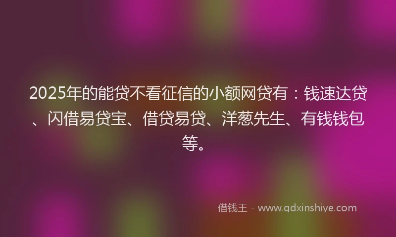 2025年的能贷不看征信的小额网贷有：钱速达贷、闪借易贷宝、借贷易贷、洋葱先生、有钱钱包等。