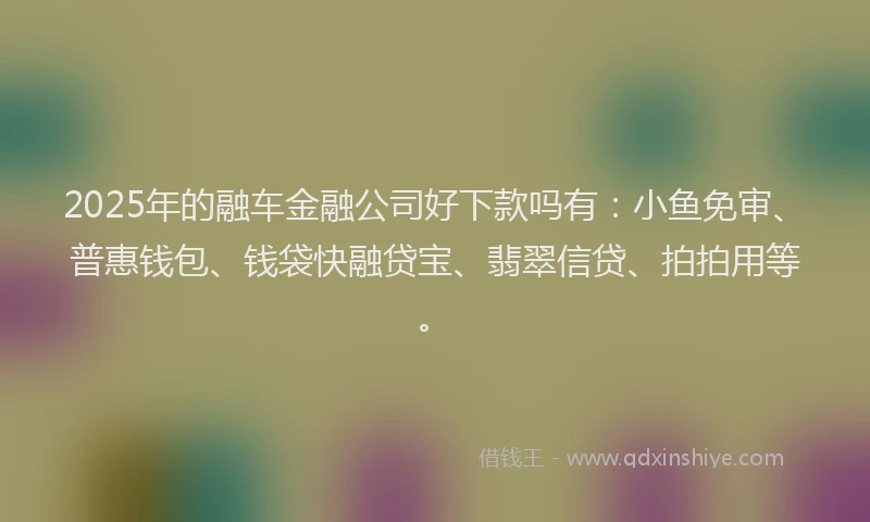 2025年的融车金融公司好下款吗有：小鱼免审、普惠钱包、钱袋快融贷宝、翡翠信贷、拍拍用等。