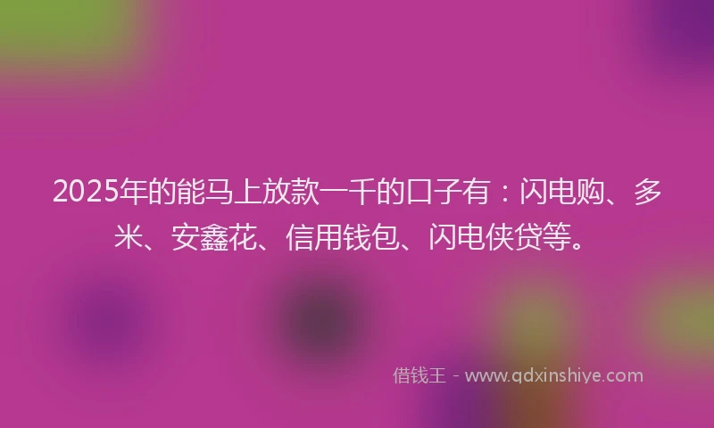 2025年的能马上放款一千的口子有：闪电购、多米、安鑫花、信用钱包、闪电侠贷等。
