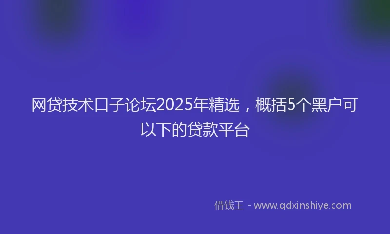 网贷技术口子论坛2025年精选，概括5个黑户可以下的贷款平台