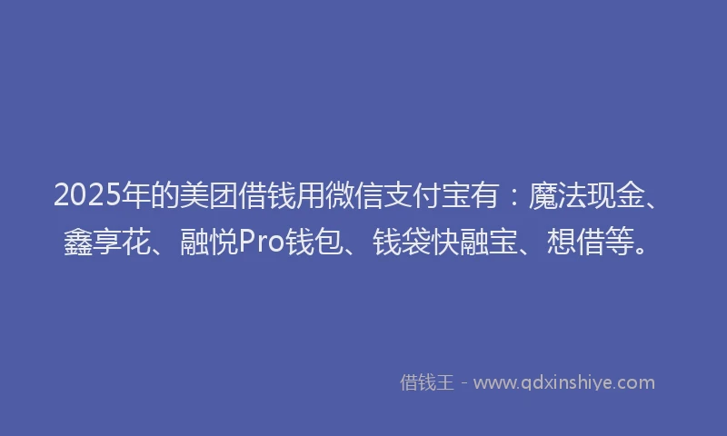 2025年的美团借钱用微信支付宝有：魔法现金、鑫享花、融悦Pro钱包、钱袋快融宝、想借等。