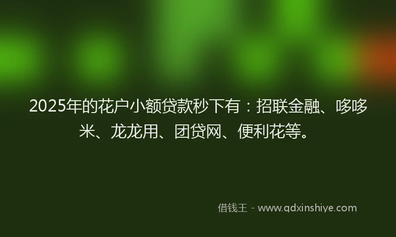 2025年的花户小额贷款秒下有：招联金融、哆哆米、龙龙用、团贷网、便利花等。