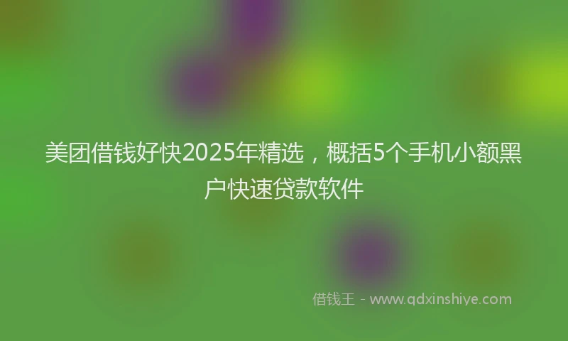 美团借钱好快2025年精选，概括5个手机小额黑户快速贷款软件
