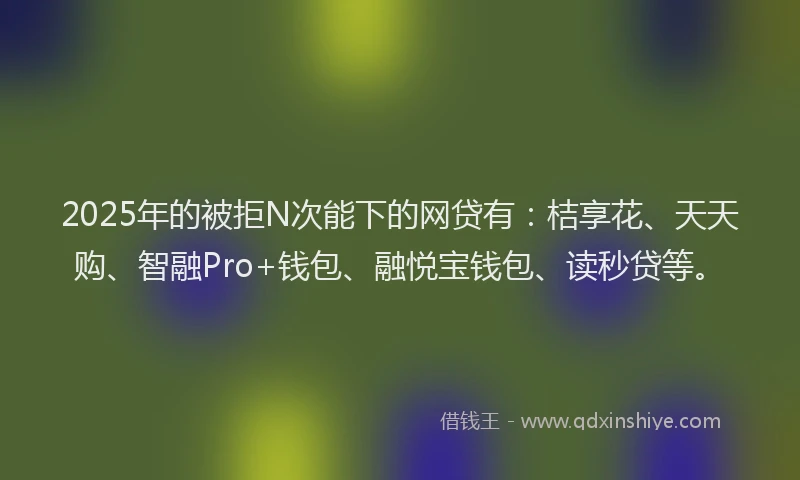 2025年的被拒N次能下的网贷有：桔享花、天天购、智融Pro+钱包、融悦宝钱包、读秒贷等。