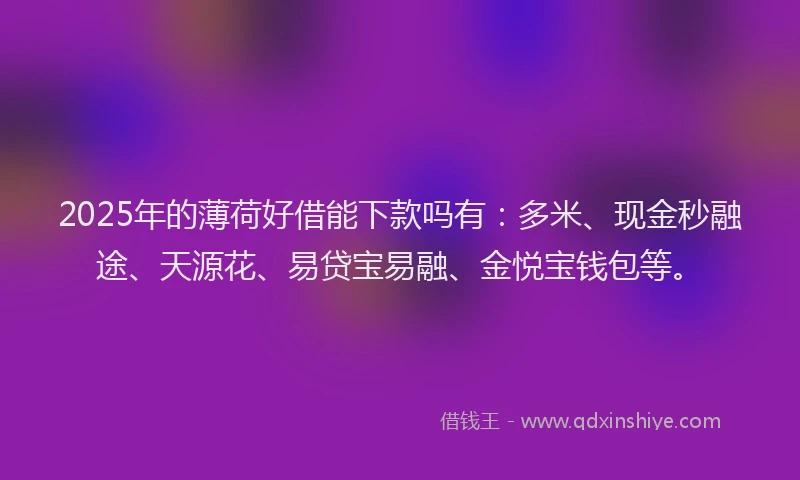 2025年的薄荷好借能下款吗有：多米、现金秒融途、天源花、易贷宝易融、金悦宝钱包等。