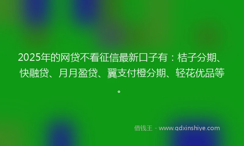2025年的网贷不看征信最新口子有：桔子分期、快融贷、月月盈贷、翼支付橙分期、轻花优品等。