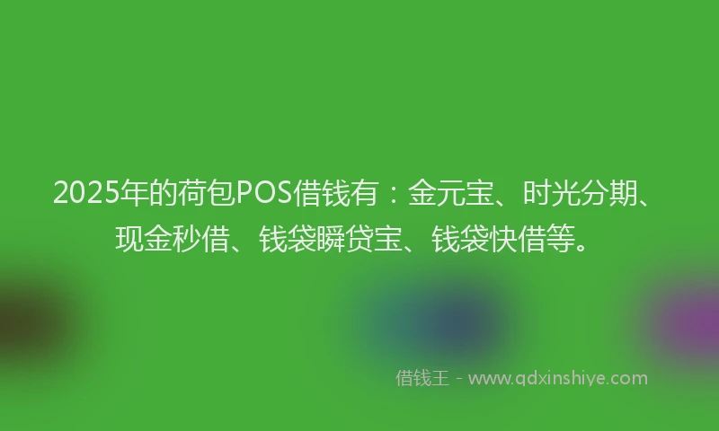 2025年的荷包POS借钱有：金元宝、时光分期、现金秒借、钱袋瞬贷宝、钱袋快借等。