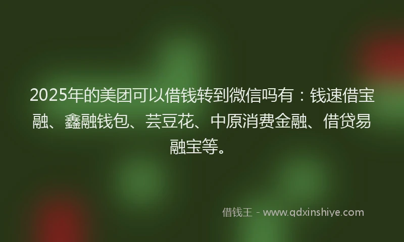 2025年的美团可以借钱转到微信吗有：钱速借宝融、鑫融钱包、芸豆花、中原消费金融、借贷易融宝等。