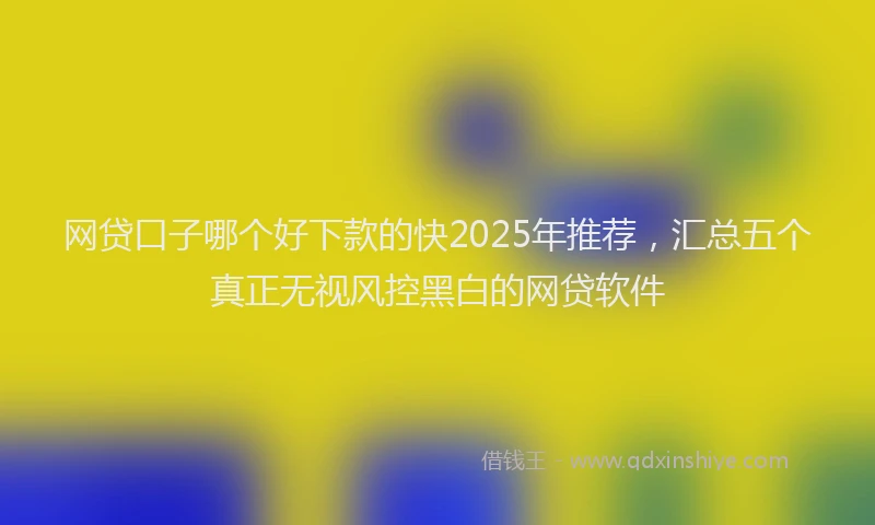 网贷口子哪个好下款的快2025年推荐，汇总五个真正无视风控黑白的网贷软件