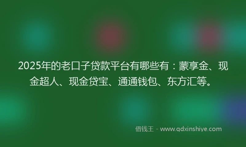 2025年的老口子贷款平台有哪些有：蒙享金、现金超人、现金贷宝、通通钱包、东方汇等。