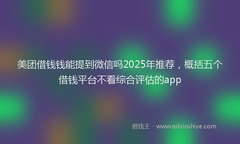 美团借钱钱能提到微信吗2025年推荐，概括五个借钱平台不看综合评估的app