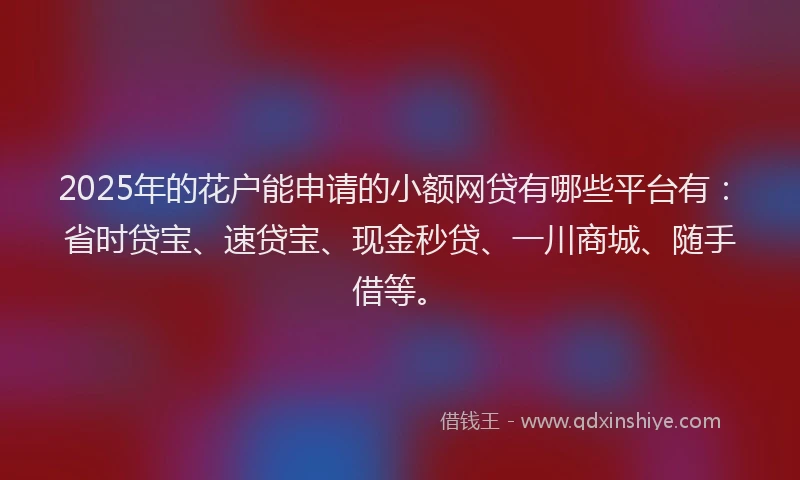 2025年的花户能申请的小额网贷有哪些平台有：省时贷宝、速贷宝、现金秒贷、一川商城、随手借等。