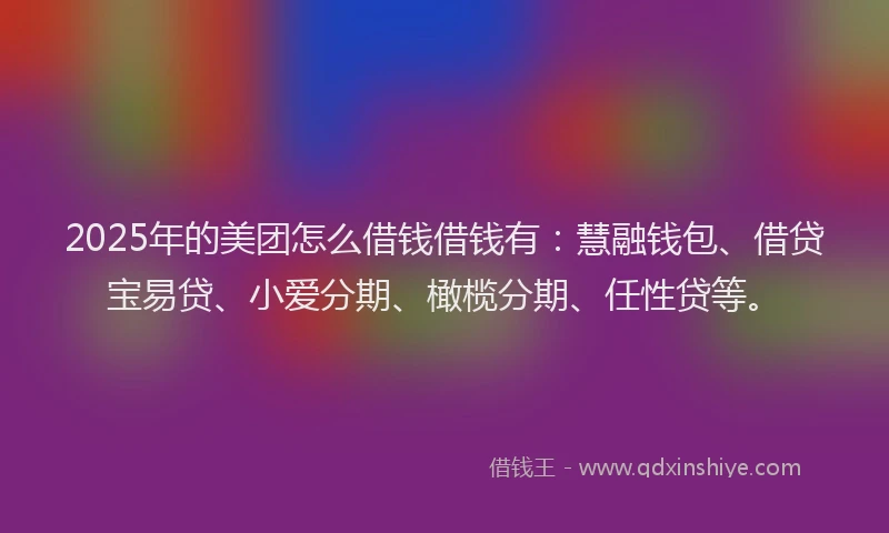 2025年的美团怎么借钱借钱有：慧融钱包、借贷宝易贷、小爱分期、橄榄分期、任性贷等。