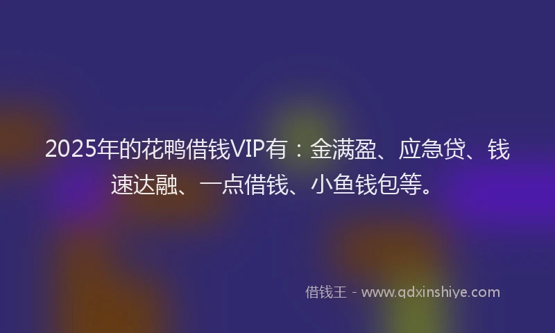 2025年的花鸭借钱VIP有：金满盈、应急贷、钱速达融、一点借钱、小鱼钱包等。