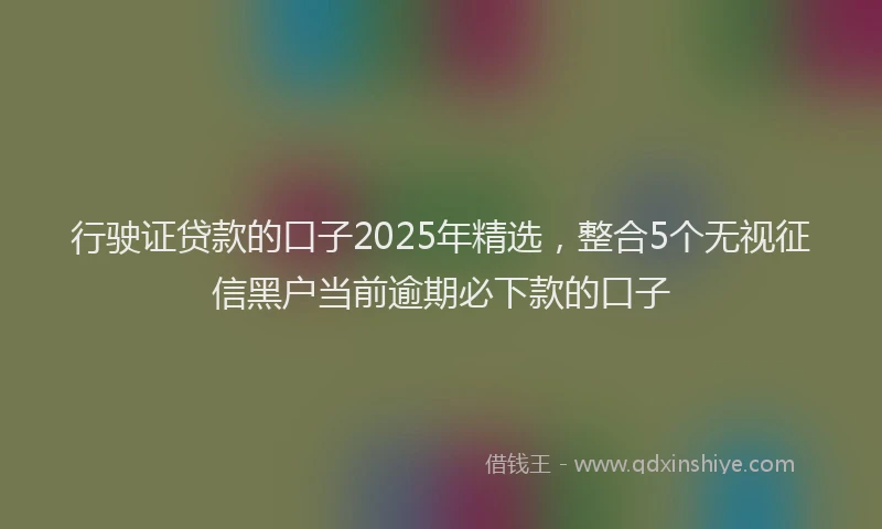 行驶证贷款的口子2025年精选，整合5个无视征信黑户当前逾期必下款的口子