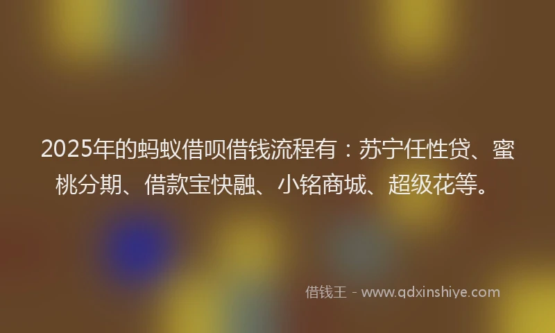 2025年的蚂蚁借呗借钱流程有：苏宁任性贷、蜜桃分期、借款宝快融、小铭商城、超级花等。