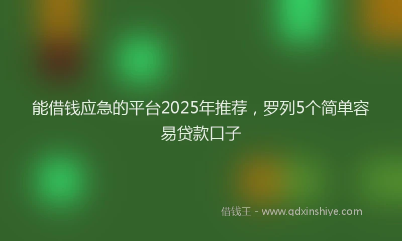 能借钱应急的平台2025年推荐，罗列5个简单容易贷款口子