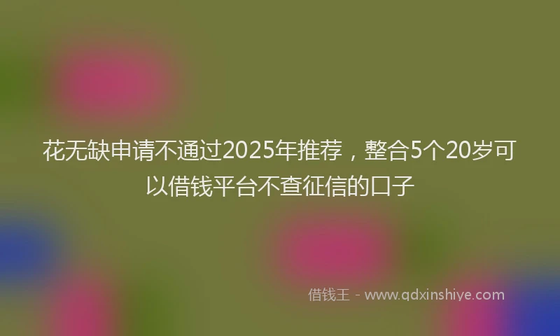 花无缺申请不通过2025年推荐，整合5个20岁可以借钱平台不查征信的口子