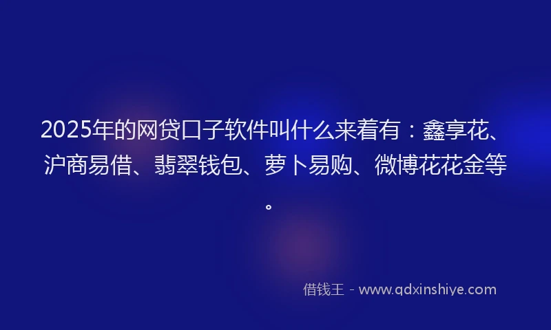 2025年的网贷口子软件叫什么来着有：鑫享花、沪商易借、翡翠钱包、萝卜易购、微博花花金等。