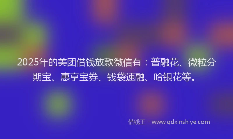 2025年的美团借钱放款微信有：普融花、微粒分期宝、惠享宝券、钱袋速融、哈银花等。