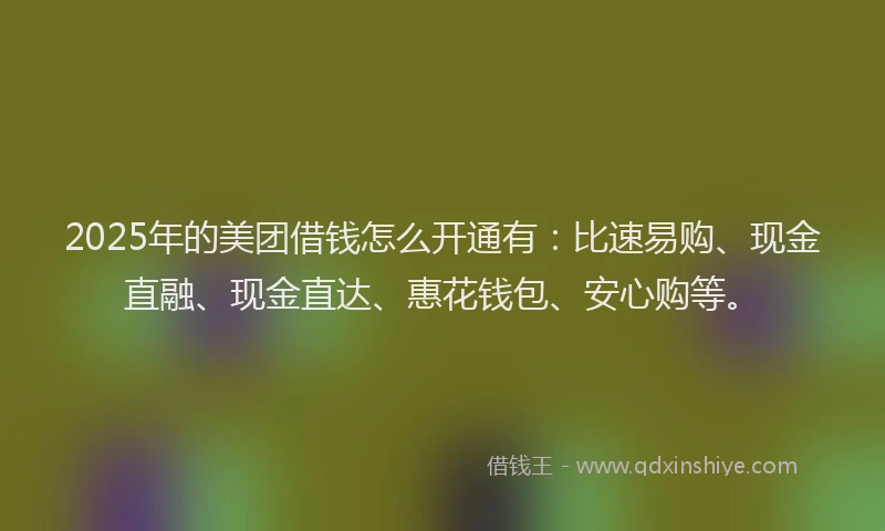 2025年的美团借钱怎么开通有：比速易购、现金直融、现金直达、惠花钱包、安心购等。