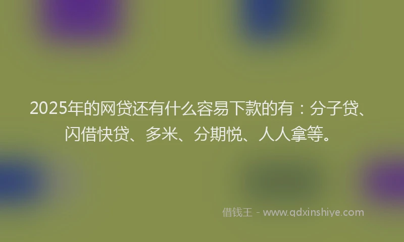 2025年的网贷还有什么容易下款的有：分子贷、闪借快贷、多米、分期悦、人人拿等。