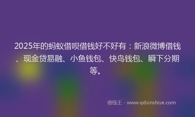 2025年的蚂蚁借呗借钱好不好有：新浪微博借钱、现金贷易融、小鱼钱包、快鸟钱包、瞬下分期等。
