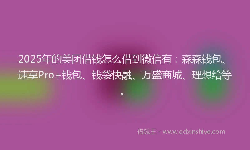 2025年的美团借钱怎么借到微信有：森森钱包、速享Pro+钱包、钱袋快融、万盛商城、理想给等。