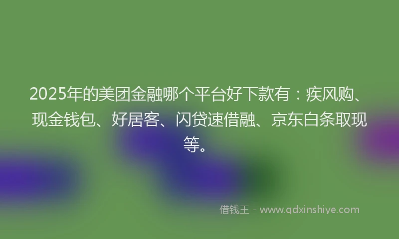 2025年的美团金融哪个平台好下款有：疾风购、现金钱包、好居客、闪贷速借融、京东白条取现等。