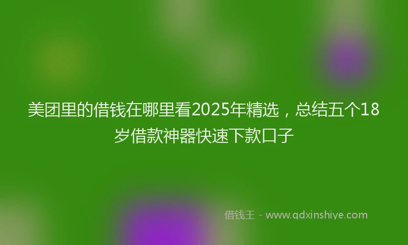 美团里的借钱在哪里看2025年精选，总结五个18岁借款神器快速下款口子