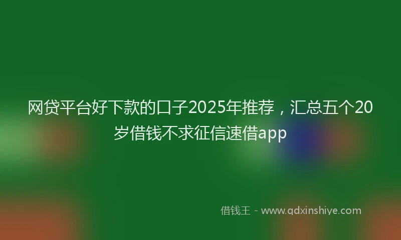 网贷平台好下款的口子2025年推荐，汇总五个20岁借钱不求征信速借app