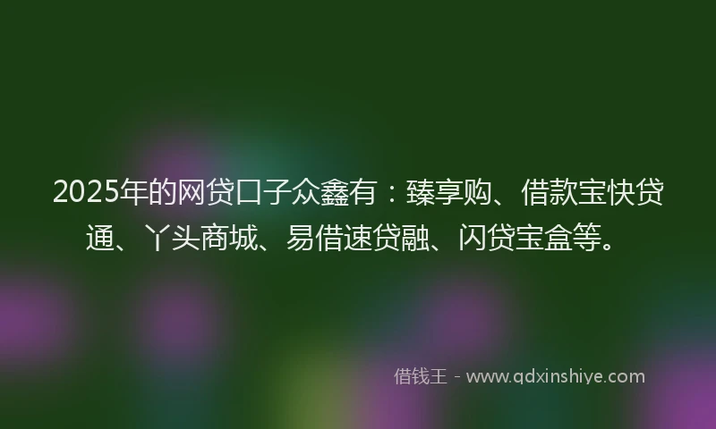 2025年的网贷口子众鑫有：臻享购、借款宝快贷通、丫头商城、易借速贷融、闪贷宝盒等。