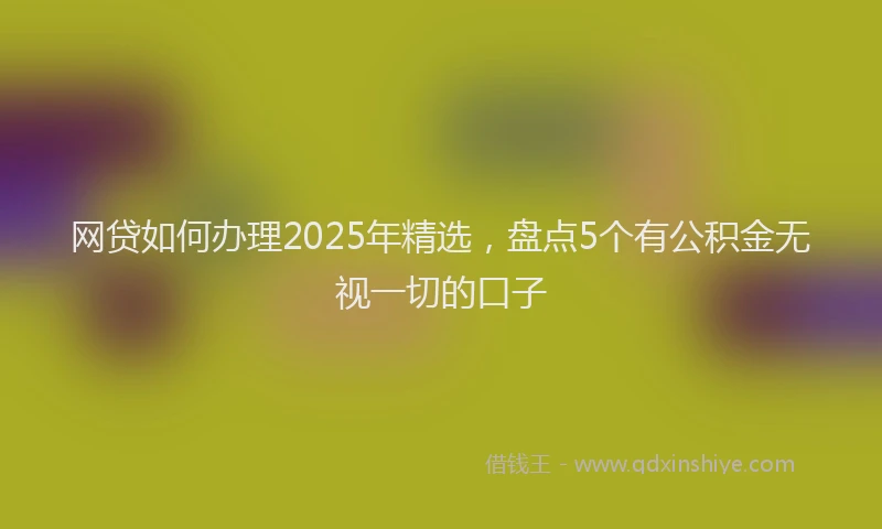 网贷如何办理2025年精选，盘点5个有公积金无视一切的口子