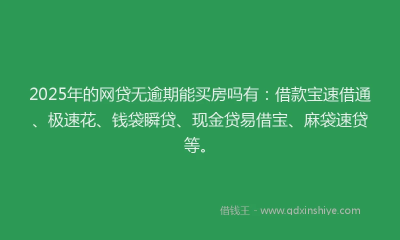 2025年的网贷无逾期能买房吗有：借款宝速借通、极速花、钱袋瞬贷、现金贷易借宝、麻袋速贷等。