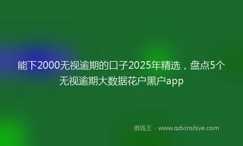 能下2000无视逾期的口子2025年精选，盘点5个无视逾期大数据花户黑户app