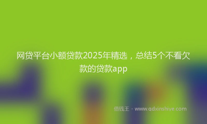 网贷平台小额贷款2025年精选，总结5个不看欠款的贷款app