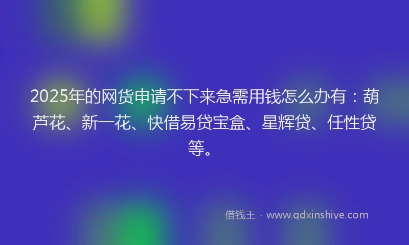 2025年的网货申请不下来急需用钱怎么办有：葫芦花、新一花、快借易贷宝盒、星辉贷、任性贷等。