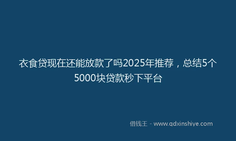 衣食贷现在还能放款了吗2025年推荐，总结5个5000块贷款秒下平台