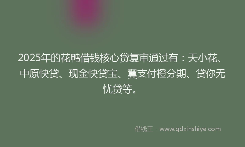 2025年的花鸭借钱核心贷复审通过有：天小花、中原快贷、现金快贷宝、翼支付橙分期、贷你无忧贷等。