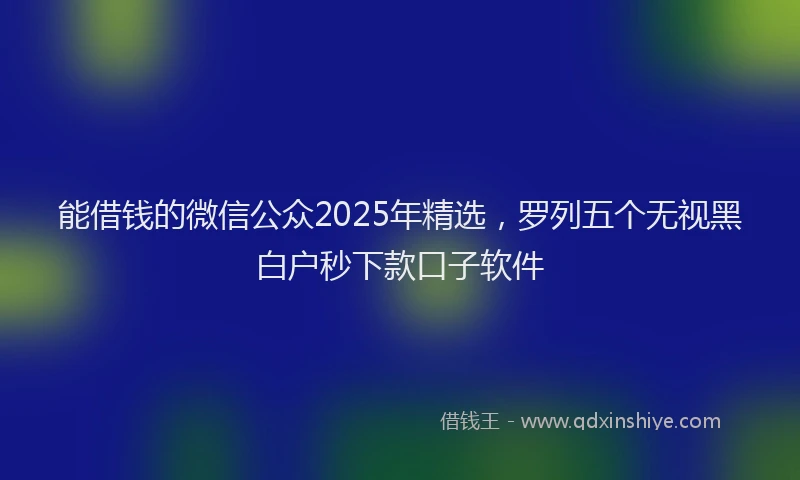 能借钱的微信公众2025年精选，罗列五个无视黑白户秒下款口子软件
