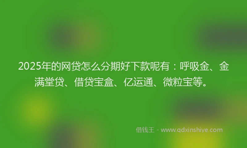 2025年的网贷怎么分期好下款呢有：呼吸金、金满堂贷、借贷宝盒、亿运通、微粒宝等。