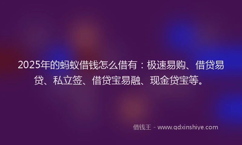 2025年的蚂蚁借钱怎么借有：极速易购、借贷易贷、私立签、借贷宝易融、现金贷宝等。